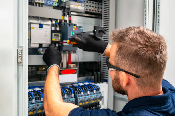 Best Electrical Repair Services  in Allison, IA