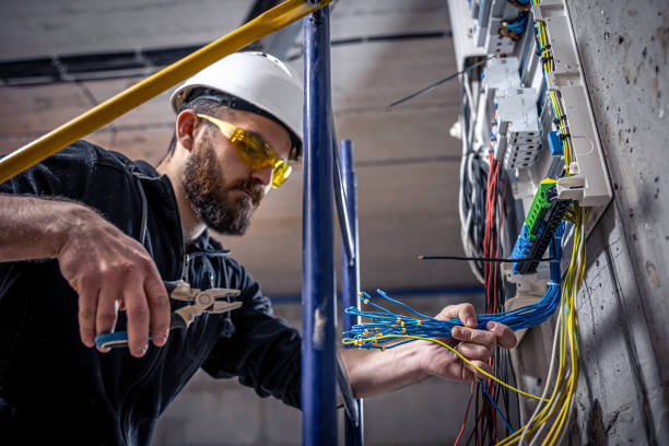 Best Home Electrical Repair  in Allison, IA
