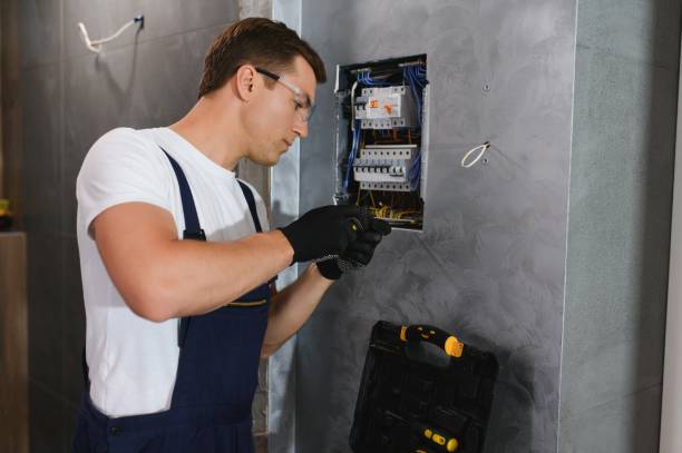Best Outdoor Lighting Installation  in Allison, IA