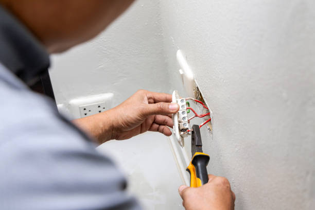 Best Electric Panel Repair  in Allison, IA