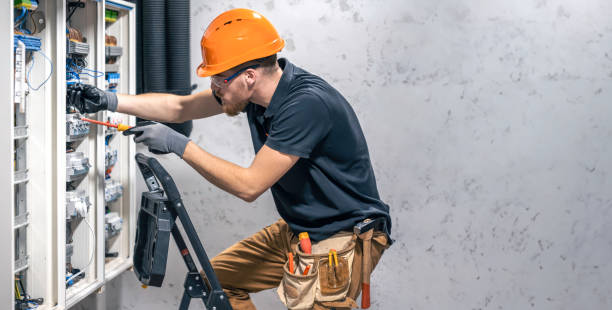 Best Electrical Repair Services  in Allison, IA