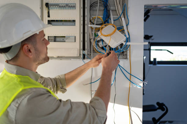 Best Electrician for Home Renovation  in Allison, IA
